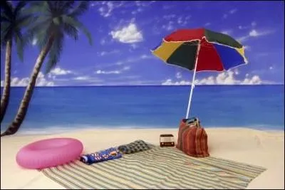 Pendant les vacances d't, quel est le mois o les Franais partent le plus en vacances ?