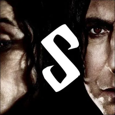 Qui est le successeur de Rufus Scrimgeour au bureau des Aurors ?