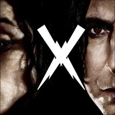 Qui interprte Xenophilius Lovegood ?