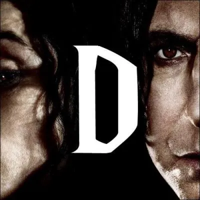 Comment s'appelle le jeu de Playstation auquel joue Dudley Dursley ?