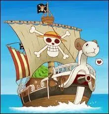 Combien de fois Luffy et son quipage ont-ils chang de bateau ?