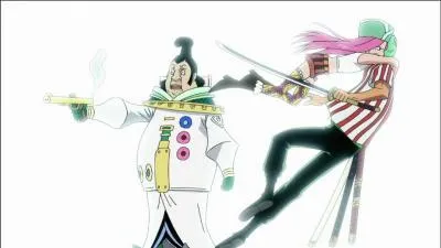 Je suis une supernova recherche pour plus de cent millions de berrys avant l'clipse, qui suis-je ?