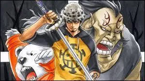 Je suis sadique et cruel on me surnomme le chirurgien de la mort  cause de mon fruit du dmon. Qui suis-je ?