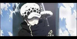 Comment se nomme l'le o l'quipage au Chapeau de Paille revoit Trafalgar Law ?