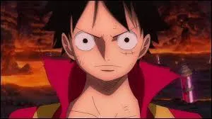 Qui est l'idole de Luffy ?
