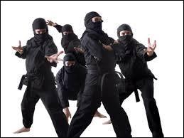Nindja : Parmi ces mots, quel est le synonyme de ninja ?