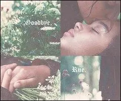 Quelles sont les premires paroles de la berceuse que Katniss chante  Rue ?