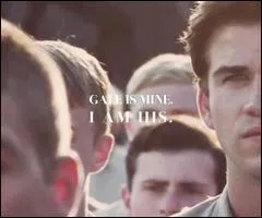 Combien de fois figurent les noms de Gale et Katniss pour la moisson ?