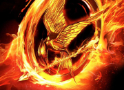 Quiz Hunger Games 1 : diffrences film/livre