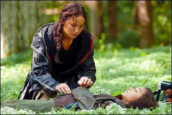 Vient un des moments les plus tristes de l'histoire : la mort de Rue. Le District 11 ragit. Dans le film, on le voit se rvolter et dtruire ses rcoltes. Que se passe-t-il dans le livre ?