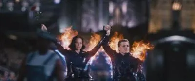 Les tributs sont ensuite amens au Capitole et sont prsents au public. Sur le char, Peeta prend la main de Katniss, ce qui ravit le public. De qui vient cette ide dans le livre ?