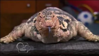 Qui est madame Kipling ?