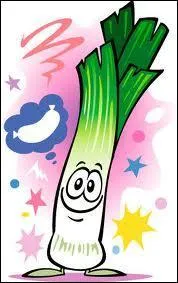 Le vritable poireau parat tre celui dont la taille et la saveur sont apprcies des connaisseurs. Il est galement trs recherch des mnagres qui le mettent dans leur pot-au-feu. De quoi l'accompagnent-elles ?