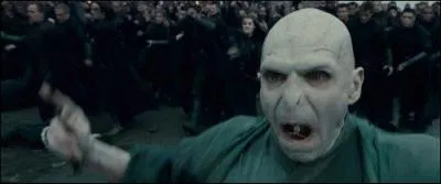 Dans la bouche de Voldemort ? Qui a cr Harry Potter ?