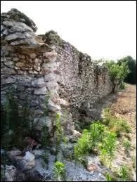 Quel est le mot spcifique pour dire  l'ensemble des lments non-vivants  ?