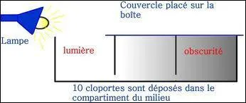 Pour valider une hypothse, on doit...