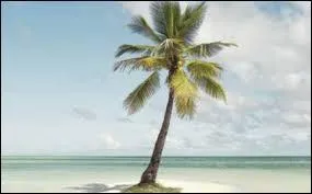 Auquel de ces romans pouvez-vous associer cette image ?