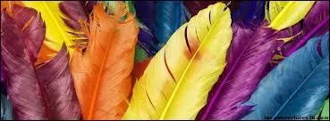 Pendant la fte de You Mix, qui n'a pas pu rentrer ?