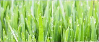 O se passe cette chanson ?