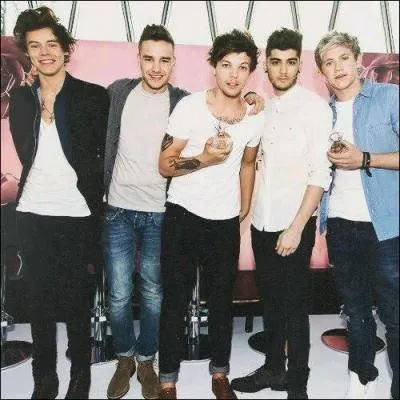 Dans  Story Of My Life , qui commence  chanter ?