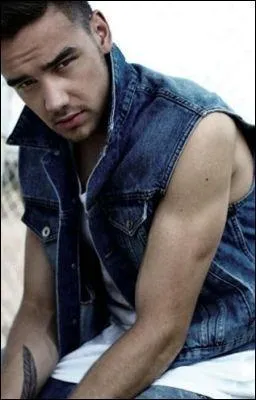 Quelle est la couleur prfre de Liam Payne ?