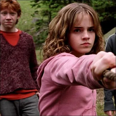 Si l'on prend en compte les sept tomes de Harry Potter, que peut-on dire de Neville Londubat ?