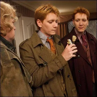 Fred et George essayent leurs Pralines Longues Langues sur :