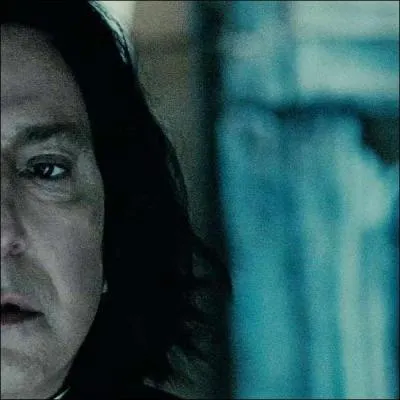 Parmi ces professeurs, lesquels sont des femmes ?