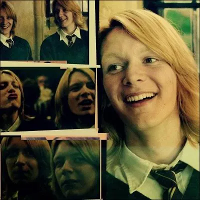 Qu'ont fait Fred et George  Montague ?