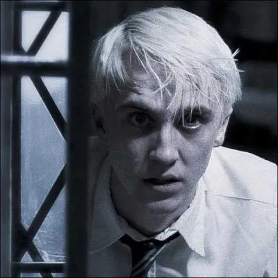 Comment s'appelle le sympathisant de Bellatrix Lestrange, tout droit venu de Transylvanie pour admirer le nouveau rgime de Voldemort ?