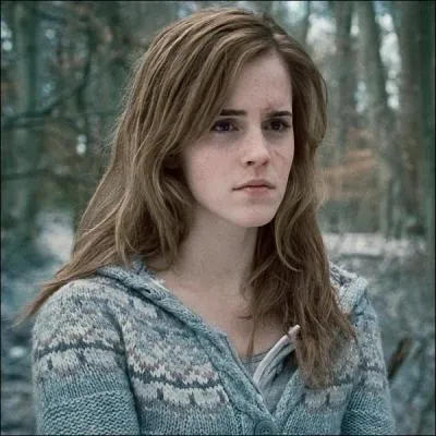 Quels sont les points communs entre Harry, Rogue et Voldemort ?