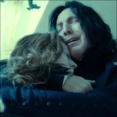 Quels pourraient tre les adjectifs qui correspondraient le mieux pour dcrire la salle commune des Gryffondor ?