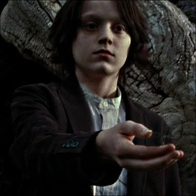 Quels personnages portent la robe bleue de Serdaigle ?