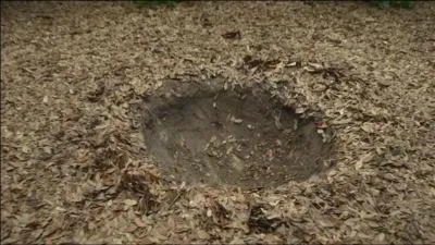 Quelle est la source suppose du dme ?