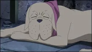 Qui est le matre de ce dingo ?