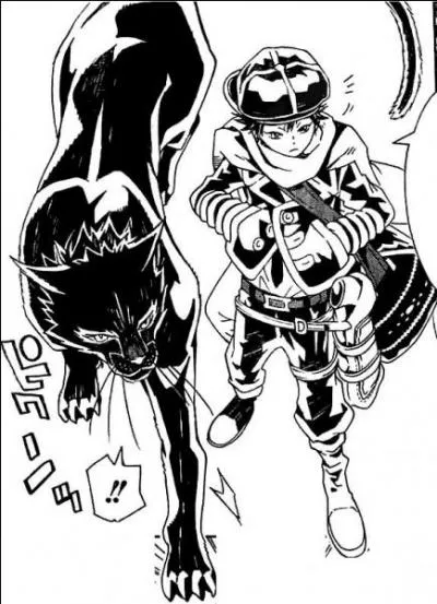 Qui est le matre de ce dingo ?