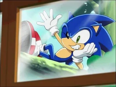 Comment s'appelle la srie tlvise de Sonic ?