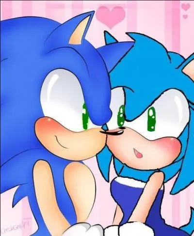 Dans Sonic, il y a des gens qui prennent les couples en fusionnant leurs noms. Comment nomment-ils ce couple ?