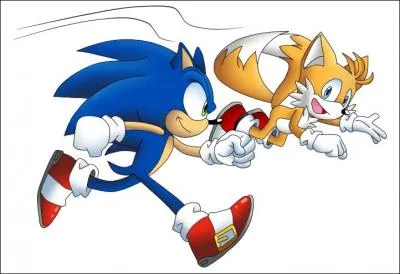 Qui est l'ami fraternel de Sonic ?