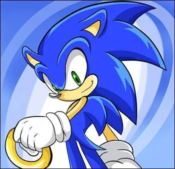 Quel animal est Sonic ?