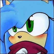 Comment s'appelle l'amoureuse de Sonic ?