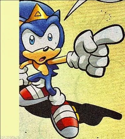 Comment se nomme le fils de Sonic ?