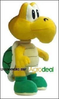 Quel est le nom de la personne qui porte la carapace verte ?