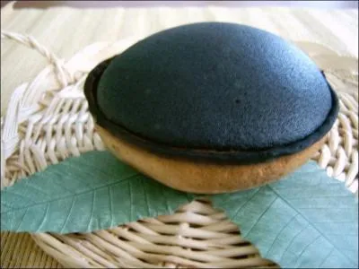 Quel est le nom de ce gteau qui est une spcialit du sud du dpartement ?