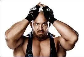 Qui Ryback devait-il dfendre ?