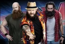 D'aprs Bray Wiatt qui lui dit de faire ses apparitions et qui combattre ?