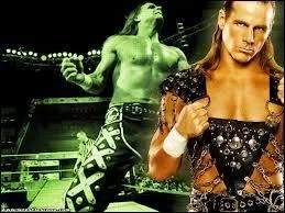 Qui a-t-il mis KO lors du match pour la ceinture de la WWE avec Randy Orton et Daniel Bryan ?