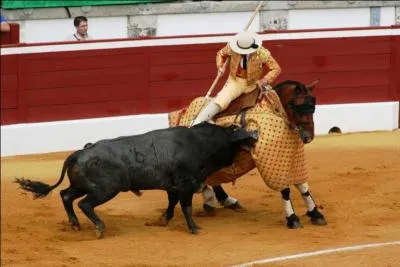 Comment appelle-t-on les amateurs de tauromachie ?