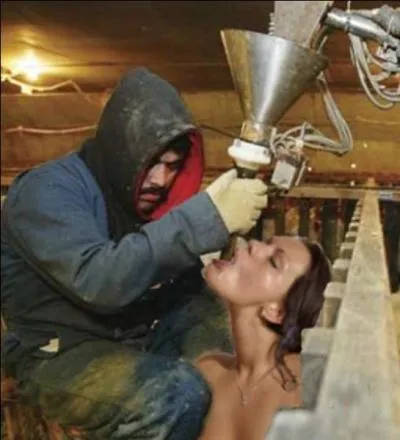 Connaissez-vous des alternatives au gavage des oies dont la mortalit est bien suprieure  celle des oies nourries normalement ?