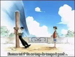 Que faisait Zoro avant de rejoindre l'quipage du Chapeau de Paille ?